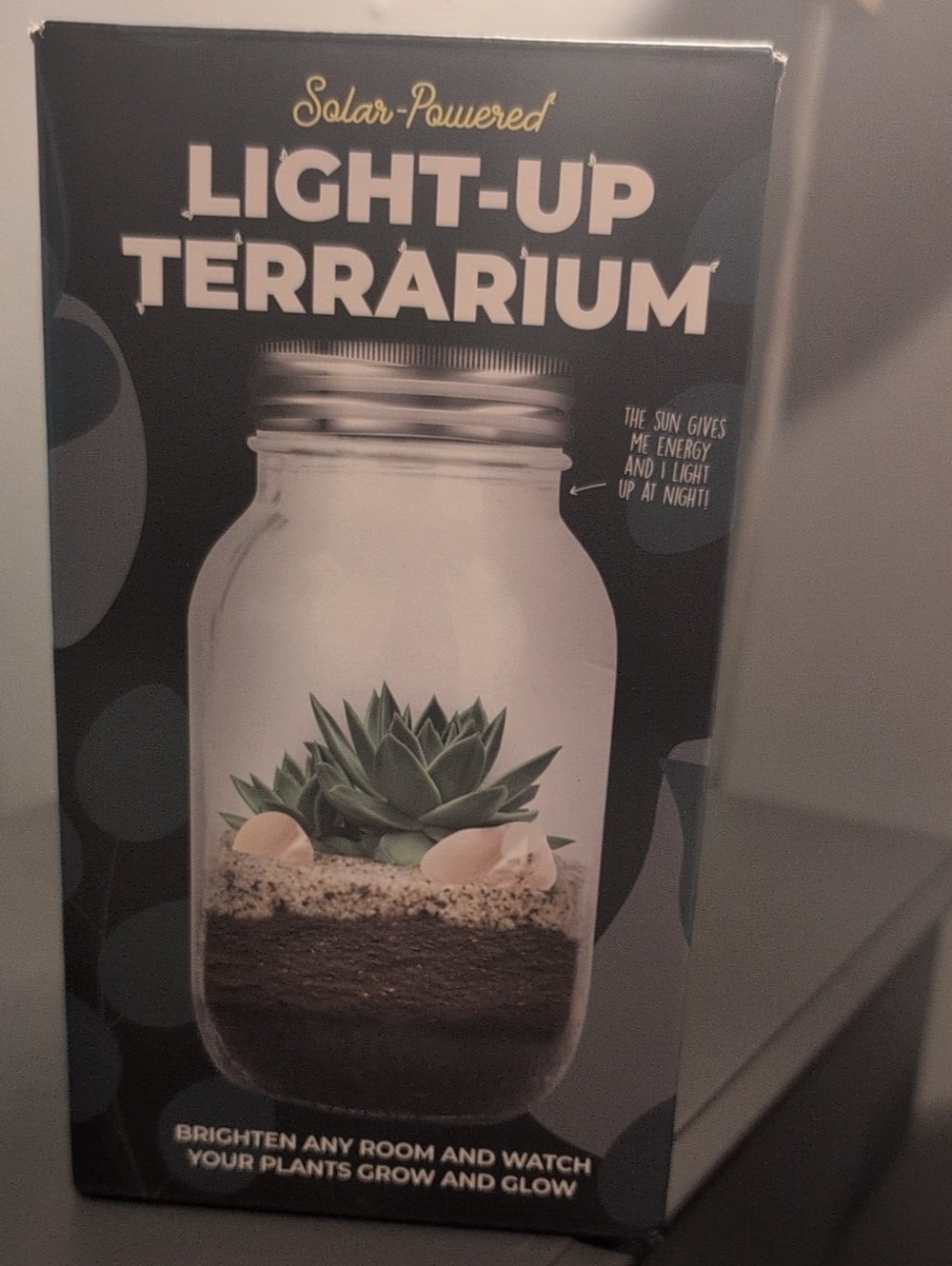 Solar Powered Light Up Terrarium Kit NWT